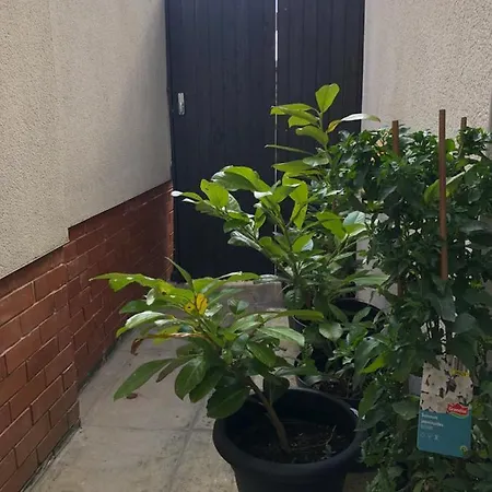 Cosy Quiet 1 Bedroom Apartment Carrington Nottingham Exterior photo
